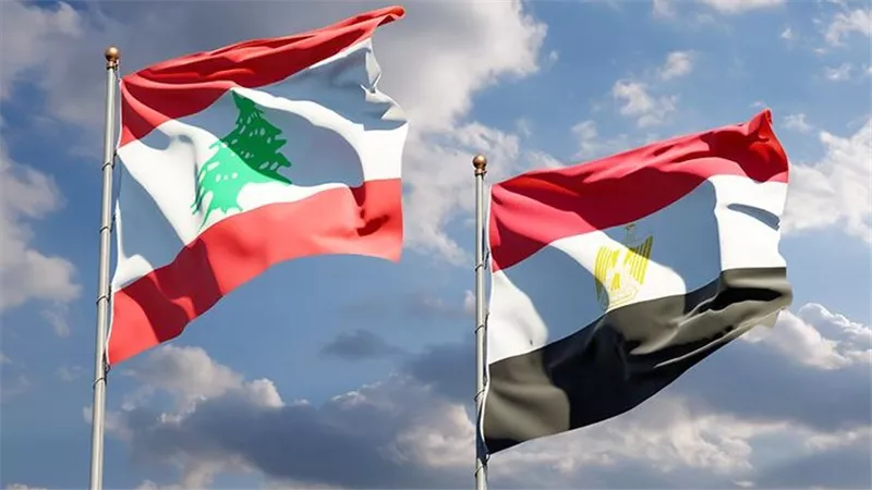 وزير الصناعة اللبناني.. التعاون مع مصر ركيزة صناعية مهمة