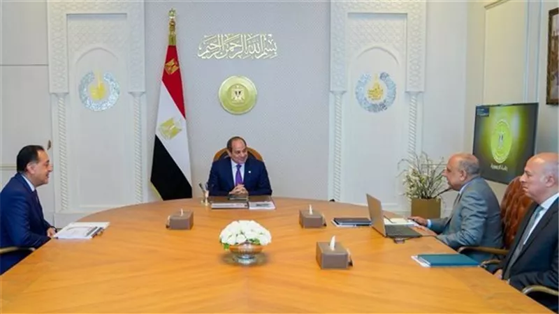 الرئيس عبد الفتاح السيسي يجتمع برئيس الوزراء ووزير الكهرباء