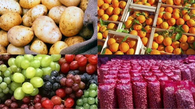 بيان هام.. صادر عن وزارات «الإستثمار والتموين والزراعة»