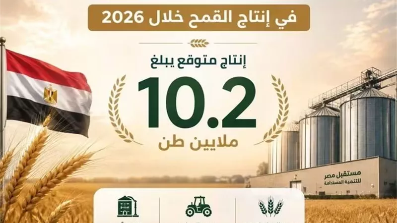 مصر.. الأولى عربيًا في إنتاج القمح خلال 2026
