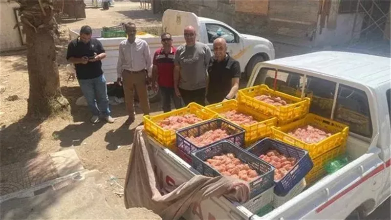 ضبط 700 كيلو فراخ غير صالحة للاستهلاك في حملة رقابية ببني سويف