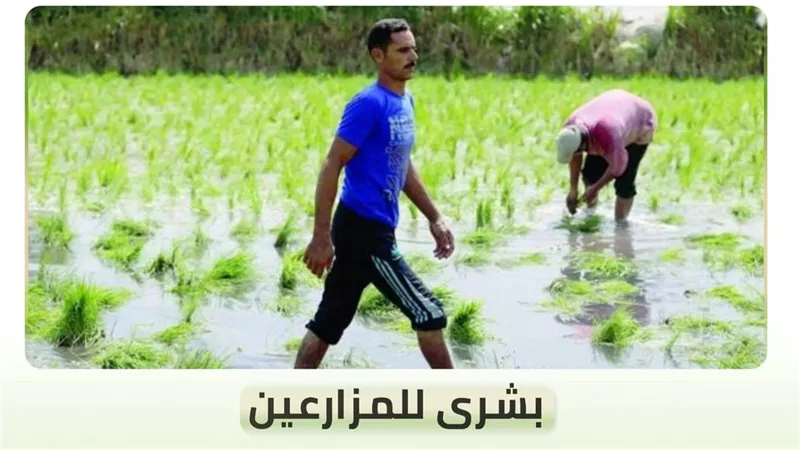 الكاتب الصحفي سعيد شاهين 